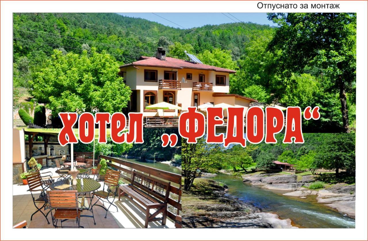 Семеен Хотел Федора Ribaritsa Exterior foto