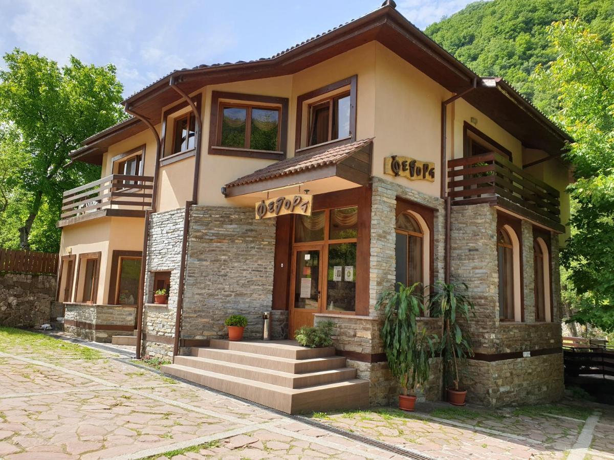 Семеен Хотел Федора Ribaritsa Exterior foto