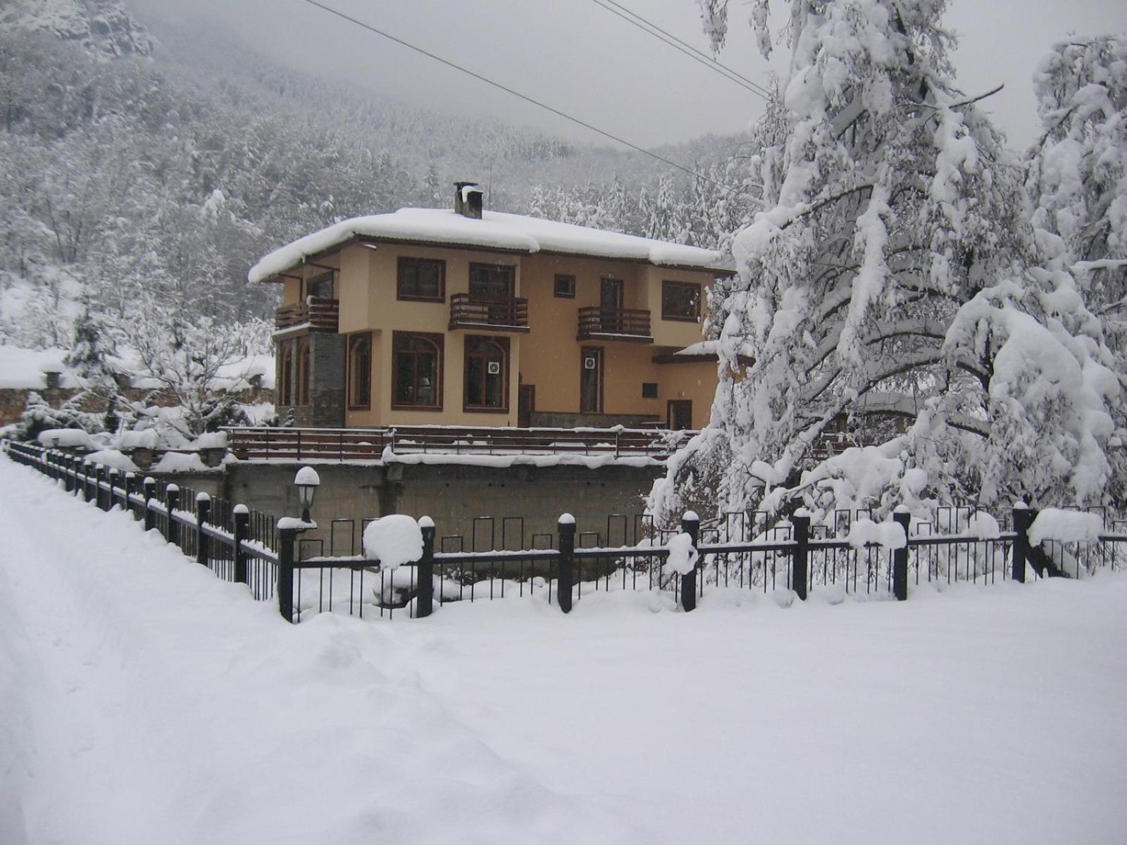 Семеен Хотел Федора Ribaritsa Exterior foto
