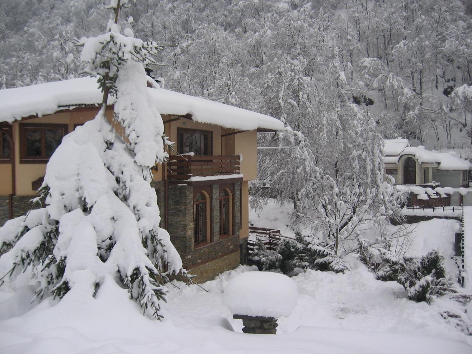 Семеен Хотел Федора Ribaritsa Exterior foto