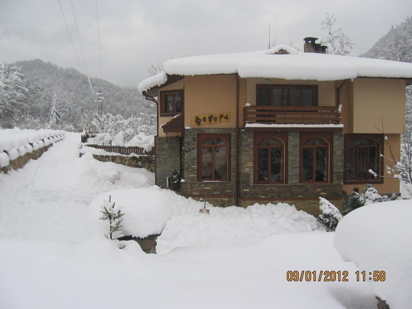 Семеен Хотел Федора Ribaritsa Exterior foto