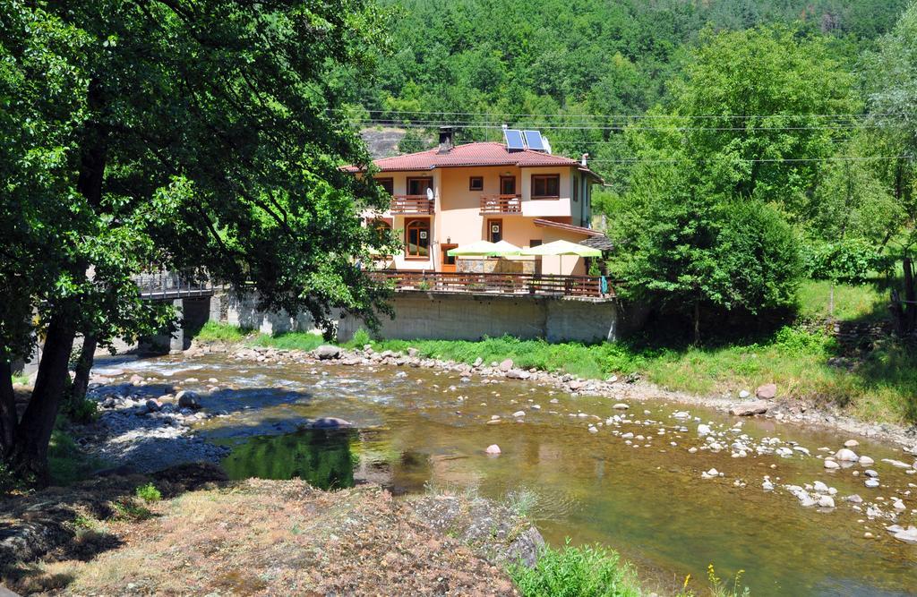 Семеен Хотел Федора Ribaritsa Exterior foto