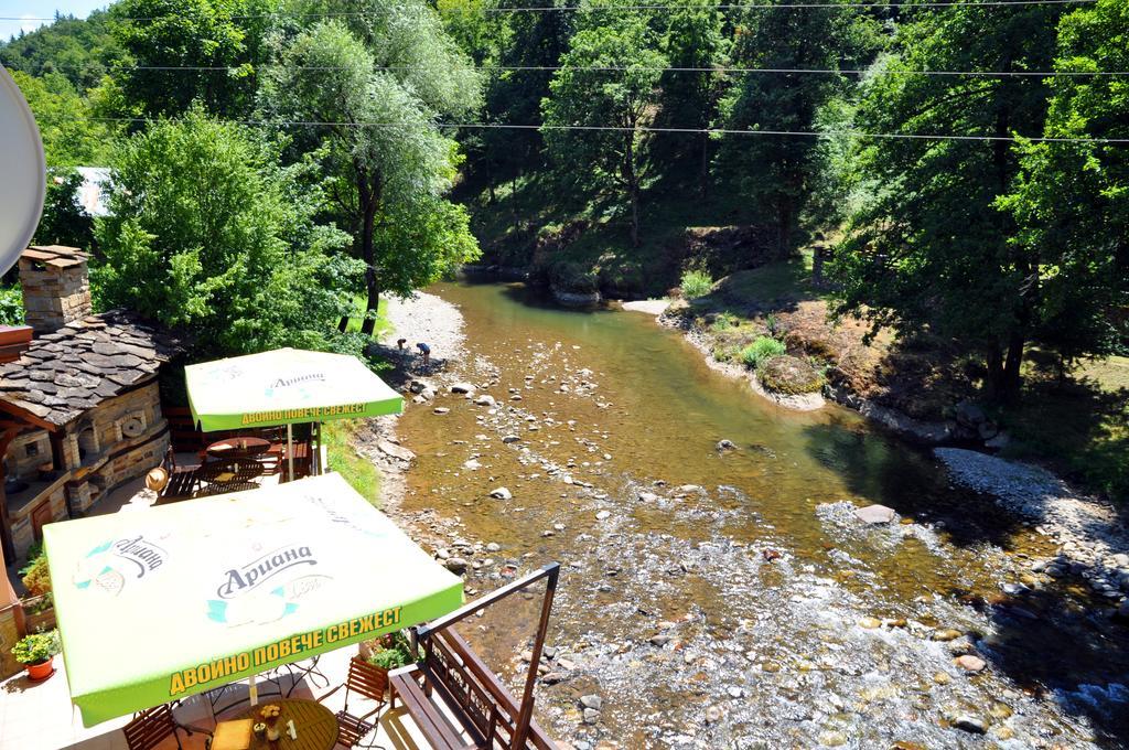 Семеен Хотел Федора Ribaritsa Exterior foto