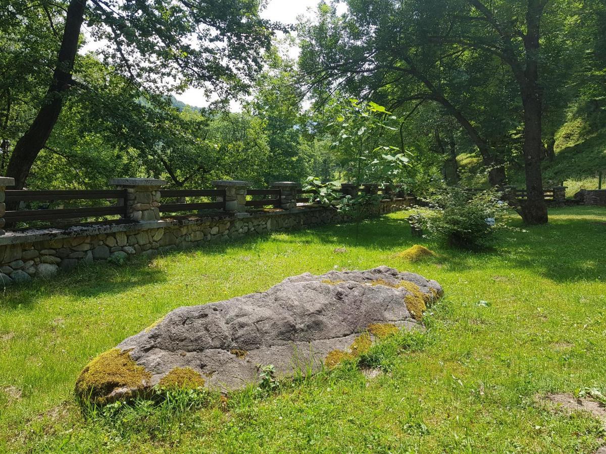 Семеен Хотел Федора Ribaritsa Exterior foto